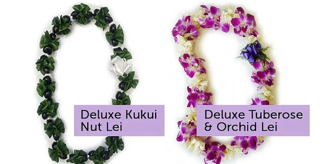 Kona Airport Lei Greeting - Image 6