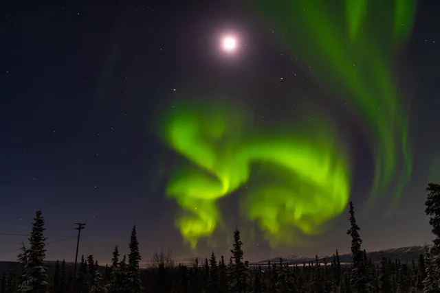 Anchorage Northern Lights Adventure - Image 2