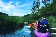 Cape Cod Kayak Nature Tour thumbnail 1