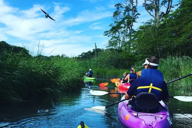 Cape Cod Kayak Nature Tour - Image 1