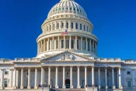Washington DC Monuments and Cherry Blossom Tour thumbnail 6