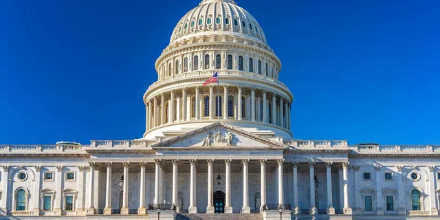 Washington DC Monuments and Cherry Blossom Tour - Image 6
