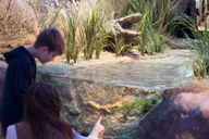 San Antonio Witte Museum Admission thumbnail 3