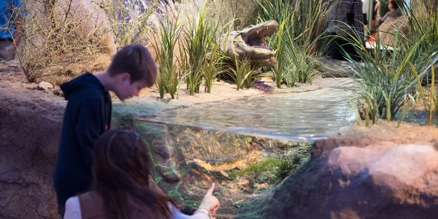 San Antonio Witte Museum Admission - Image 3