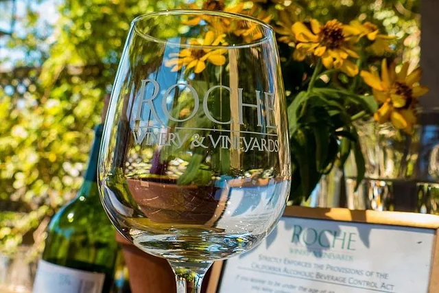 San Francisco Wine Tour with Hop-On Hop-Off Bus - Image 1