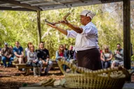 Charleston Boone Hall Plantation Tour with Transportation thumbnail 4