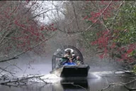 New Orleans Bayou Airboat Ride thumbnail 1