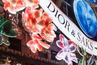 New York City Christmas Lights Pedicab Tour thumbnail 5