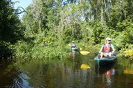 Orlando Wekiva River Kayak Tour thumbnail 6