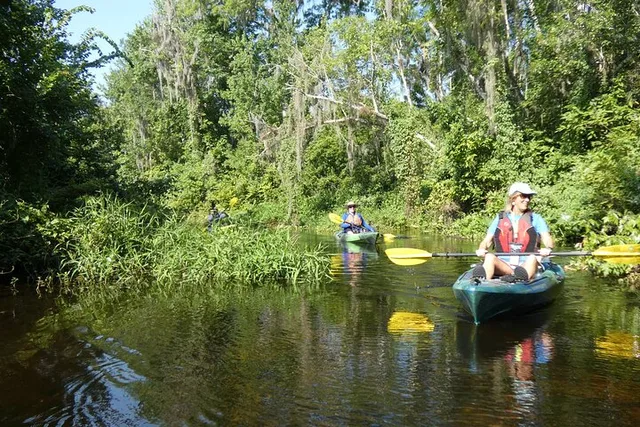 Orlando Wekiva River Kayak Tour - Image 6
