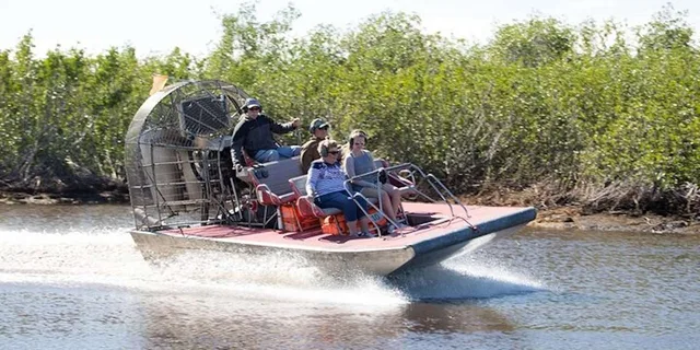 Naples Everglades Airboat and Wildlife Sanctuary Tour - Image 3