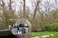 New Orleans Airboat Swamp Tour thumbnail 6