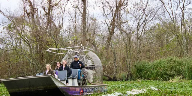 New Orleans Airboat Swamp Tour - Image 6