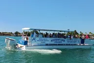 Treasure Island Dolphin and Snorkeling Tour thumbnail 4