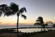 Oahu Pearl Harbor & North Shore Tour thumbnail 3
