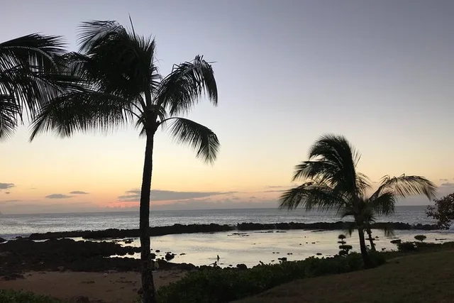 Oahu Pearl Harbor & North Shore Tour - Image 3