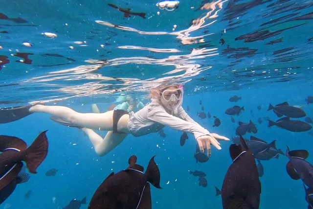 Honolulu Snorkeling Tour at Turtle Canyon 3 hr - Image 6