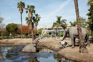 Los Angeles La Brea Tar Pits Excavator Tour 2 hr thumbnail 2