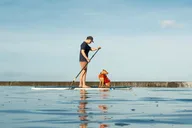 Honolulu Paddle Board with Rescue Dogs 90 min thumbnail 6