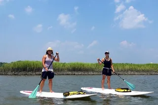 Hilton Head Lowcountry Day Tour