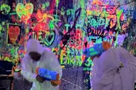 New York Paint Therapy Experience in Neon Light thumbnail 2