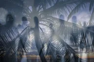 Maui Haunted History Tour thumbnail 6