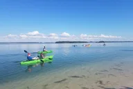 Tampa Bay Kayak Tour of Shell Key Preserve thumbnail 1