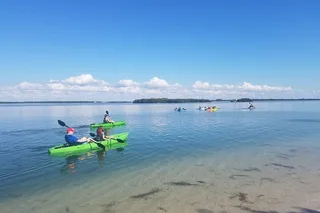 Tampa Bay Kayak Tour of Shell Key Preserve