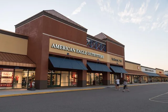 Minneapolis Shopping Tour to Albertville Outlets - Image 1