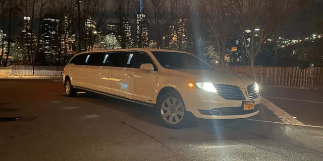 New York City Limousine Tour - Image 6
