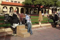 Dallas Fort Worth Historical Tour 4.5 hr thumbnail 3