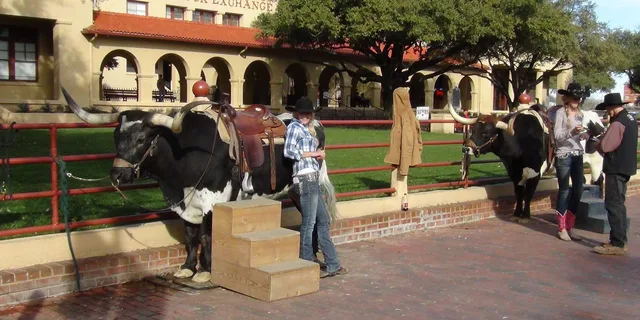 Dallas Fort Worth Historical Tour 4.5 hr - Image 3