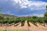 Sedona Wine Trail Tour thumbnail 3