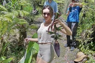 Fern Forest Jungle Tour with Guava Green Tea thumbnail 1