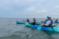 Virginia Beach Dolphin Kayak Tour thumbnail 3