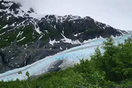 Seward Guided Hike to Marmot Meadows with Lunch thumbnail 2