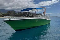 Maui Lanai Island Snorkeling Tour 4 hr thumbnail 3
