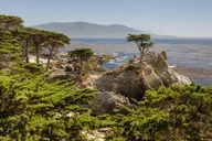 Point Lobos Self-Guided App Tour thumbnail 4