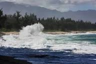 Oahu Secret Spots Tour thumbnail 6