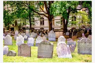 Boston and Cambridge Walking and Driving Tour thumbnail 3