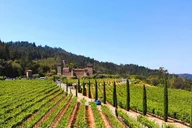 Napa Valley Wine Experience thumbnail 2