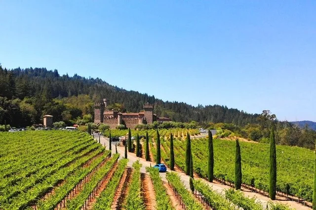 Napa Valley Wine Experience - Image 2