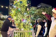 Tampa Christmas Lights Golf Cart Tour thumbnail 4