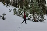 Sequoia National Park Snowshoe Adventure thumbnail 4