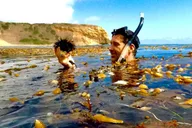 Redondo Beach Kayak and Snorkel with Sea Lions 3 hr thumbnail 2