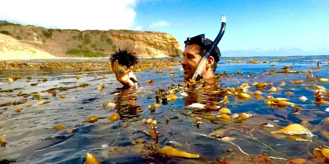 Redondo Beach Kayak and Snorkel with Sea Lions 3 hr - Image 2
