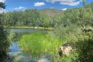 Aspen Guided Hike with Roaring Fork River Views 2 hr thumbnail 1