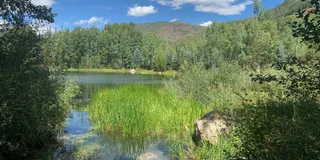 Aspen Guided Hike with Roaring Fork River Views 2 hr