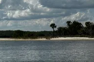 Daytona Beach Coastal Discovery Boat Cruise 3 hr thumbnail 4