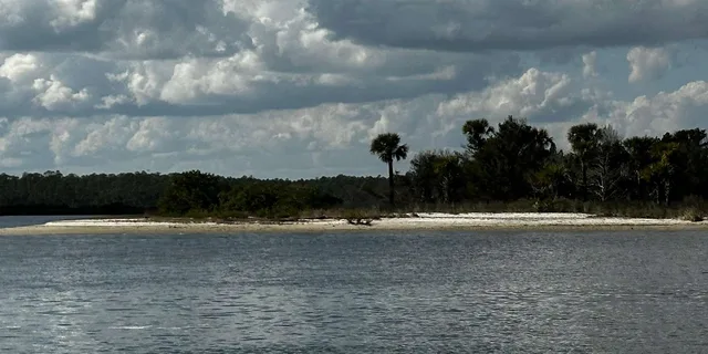 Daytona Beach Coastal Discovery Boat Cruise 3 hr - Image 4